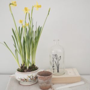 Tulipes