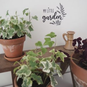 My little garden