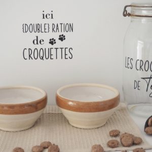 Ici double ration de croquettes