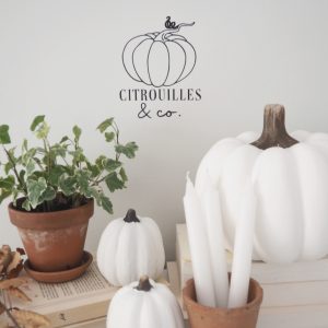 Citrouilles & co