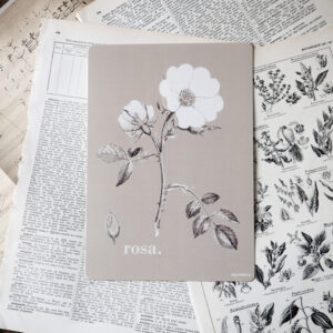 Affichette Rosa