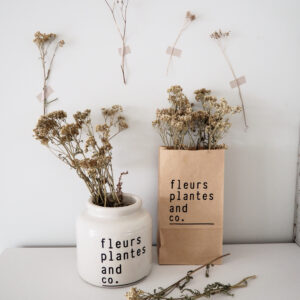 Fleurs plantes and co.