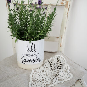 Lavender