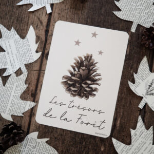 Carte postale Les trésors de la forêt