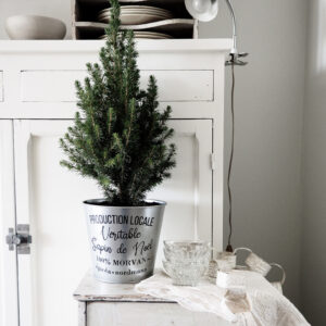 Véritable Sapin de Noël