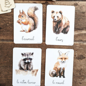 Le lot de 4 cartes postales Animaux de la Forêt