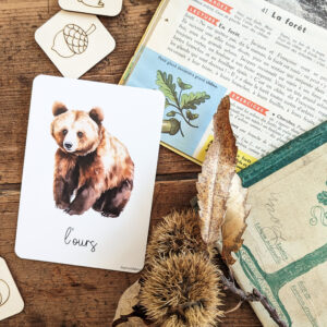 Carte postale L'ours