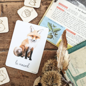 Carte postale Le renard