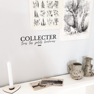 Collecter les petits bonheurs