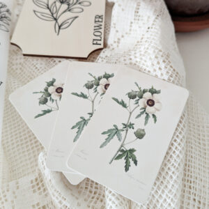 Lot de 3 petites cartes COLLECTION FLOWER