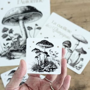 Lot de 3 petites cartes carrées CHAMPIGNONS