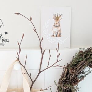 Carte postale Lapin
