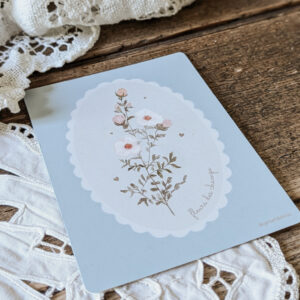 Carte postale Fleurs des champs