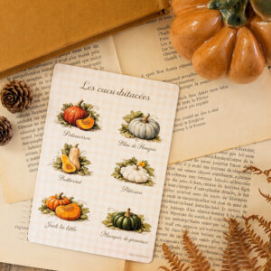 Carte postale Les cucurbitacées