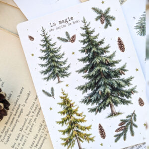 Carte postale La magie des sapins de Noël