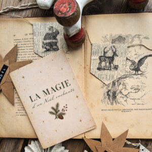Carte postale La magie d'un Noël enchanté